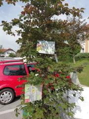 OKRASITEV 4 FOTO DANIJELA STERLE